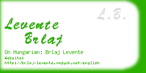 levente brlaj business card